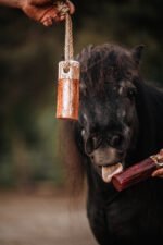 KnabbelStam Zwarte Bes - Afbeelding 2