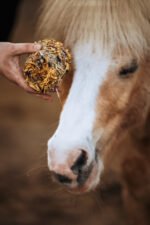 SmulBol HappieHorse - Afbeelding 2