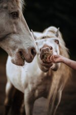 SmulSchijf Pink Pony - Afbeelding 2