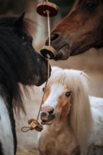 KnabbelSchijf Unicorn - Afbeelding 2
