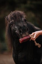 KnabbelStam Zwarte Bes - Afbeelding 3